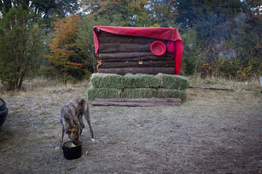 “Perseguiremos con todo el peso de la ley el saqueo ambiental que se está haciendo”