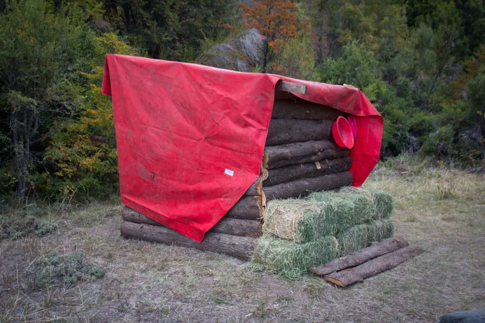 Aportarán más documentación en la causa judicial sobre la ocupación en lago Moreno