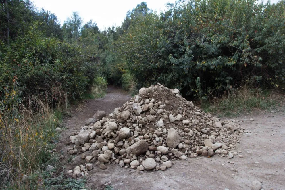 Denuncia penal por tala ilegal en el terreno en conflicto en lago Moreno