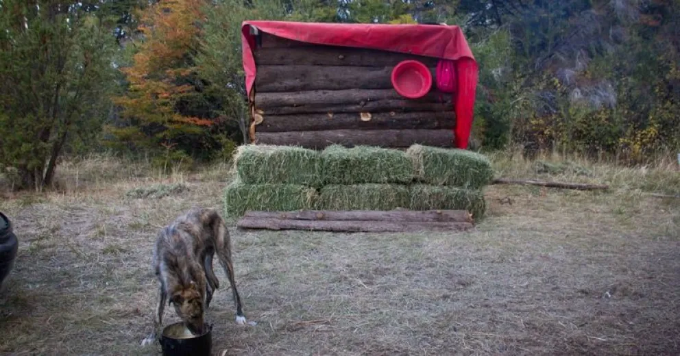 Aseguran que los terrenos en disputa de lago Moreno pertenecen al Ejército Argentino