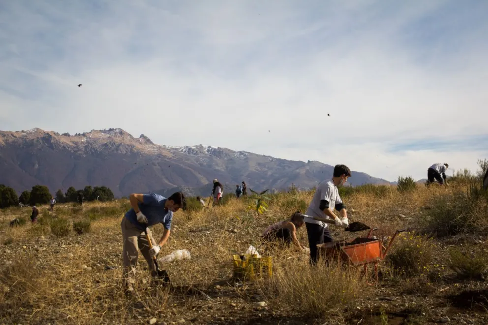Plantaron mil árboles nativos con la idea de regalarle un bosque a futuras generaciones