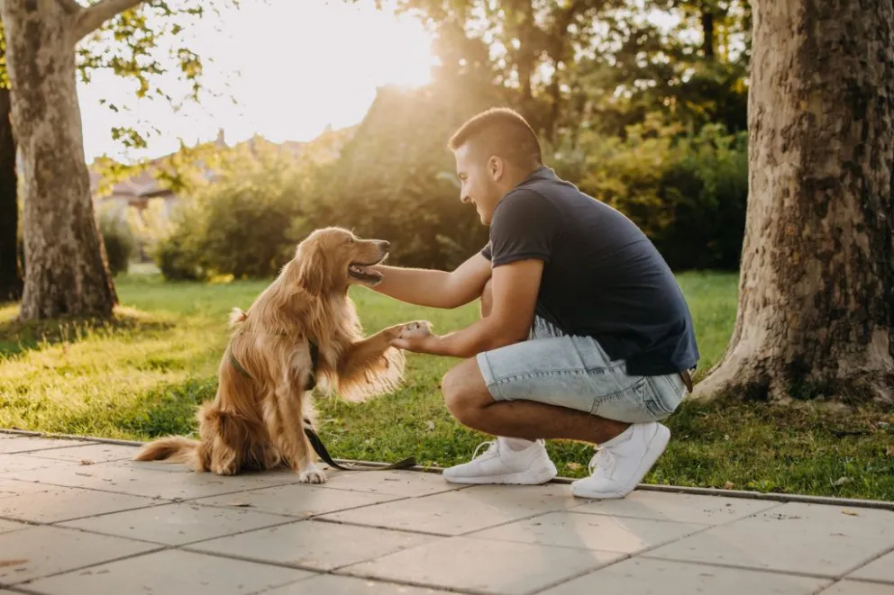 ¿Cuál es la mejor manera de actuar ante un perro que no conocemos?