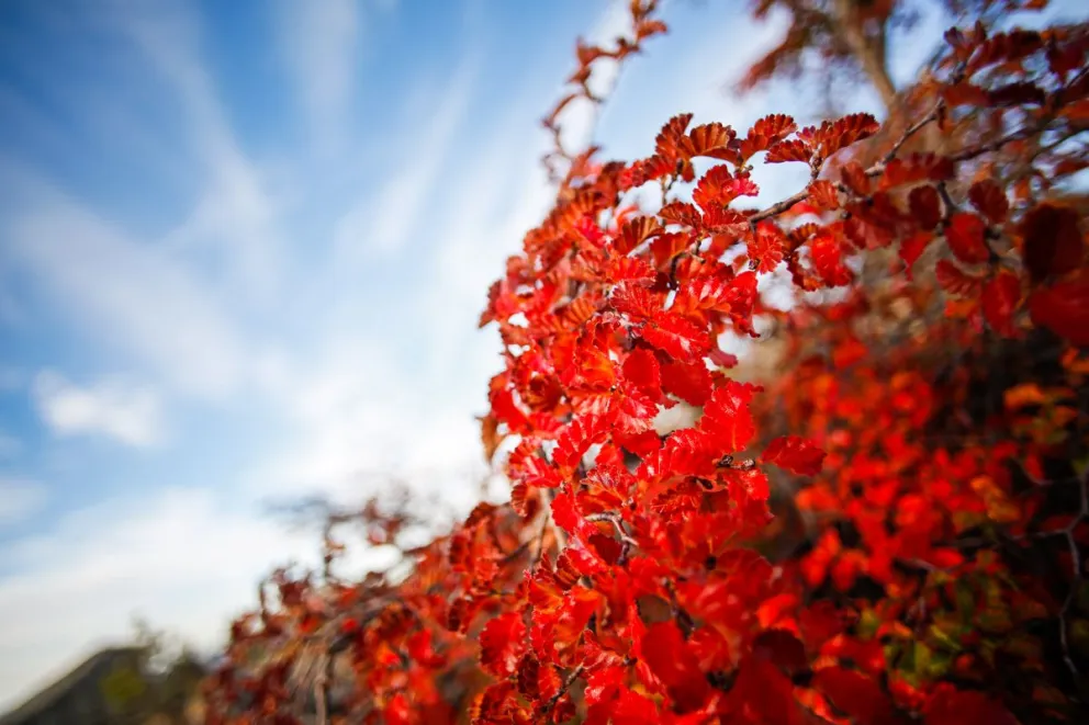¿Cómo va a estar el clima durante el primer fin de semana de otoño?