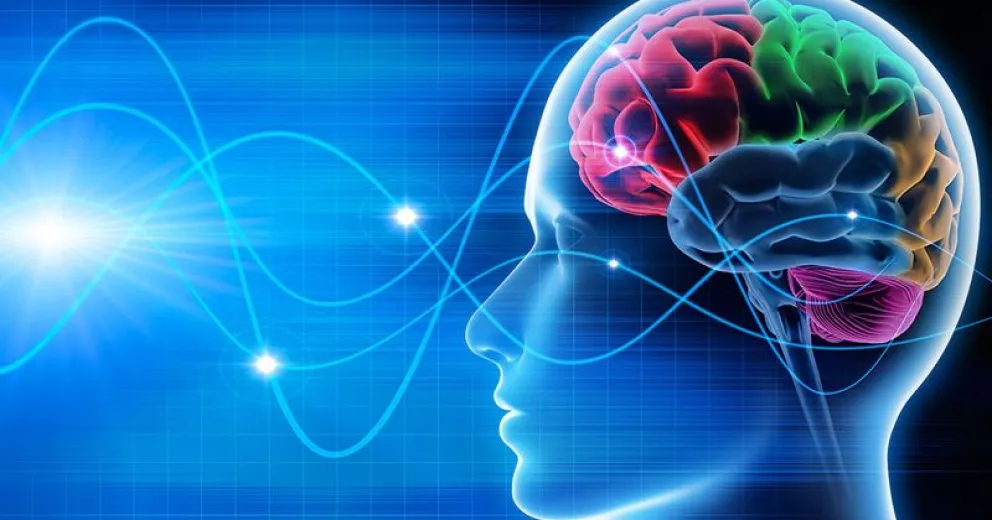 ¿Qué es el neuromarketing?