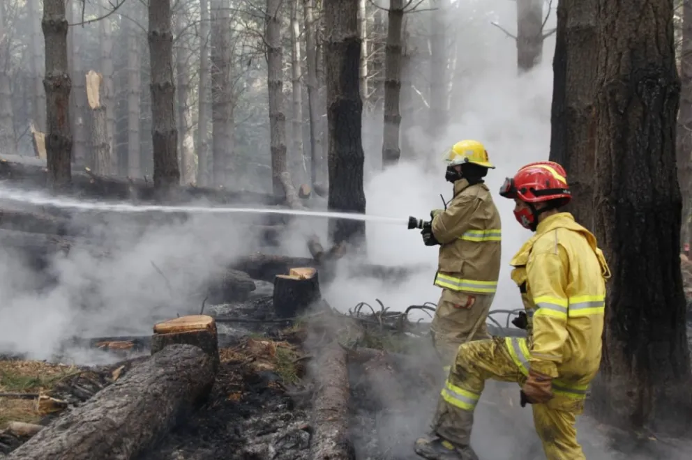 Controlaron un incendio forestal que comenzó por una quema de residuos