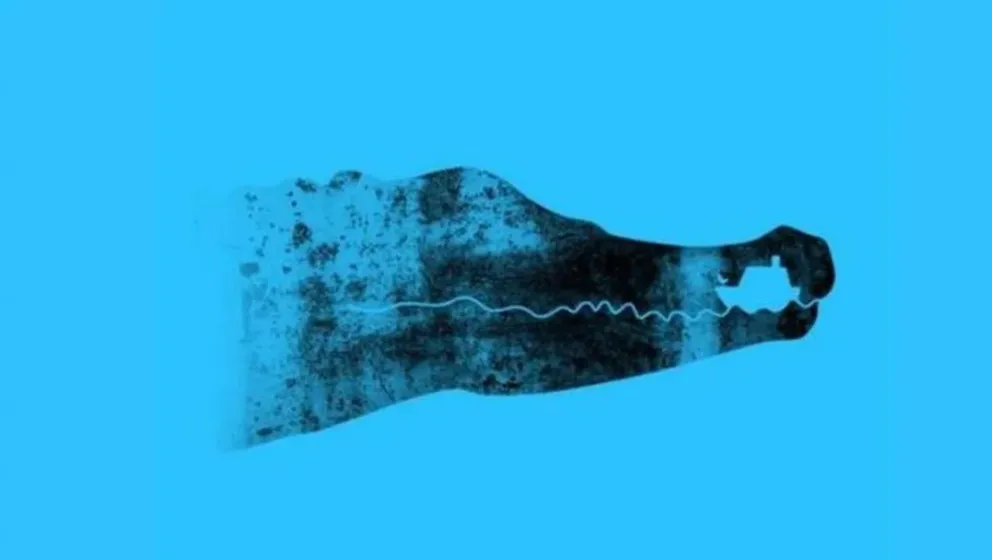 Test de personalidad: ¿Qué ves, un cocodrilo o un barco?