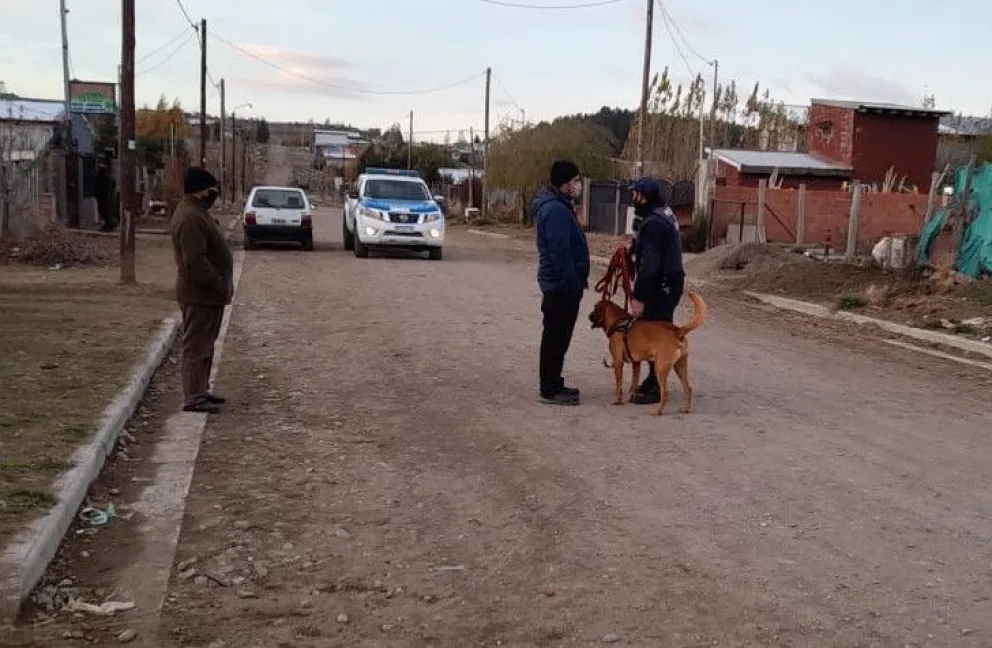 Suman perros a la búsqueda de la menor de 14 años que está desaparecida