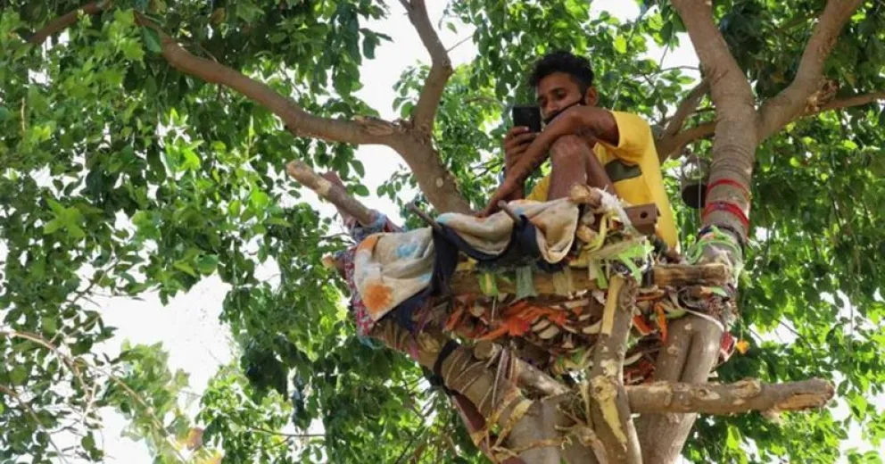 Vivió durante 11 días en un árbol para no contagiar a su familia de coronavirus