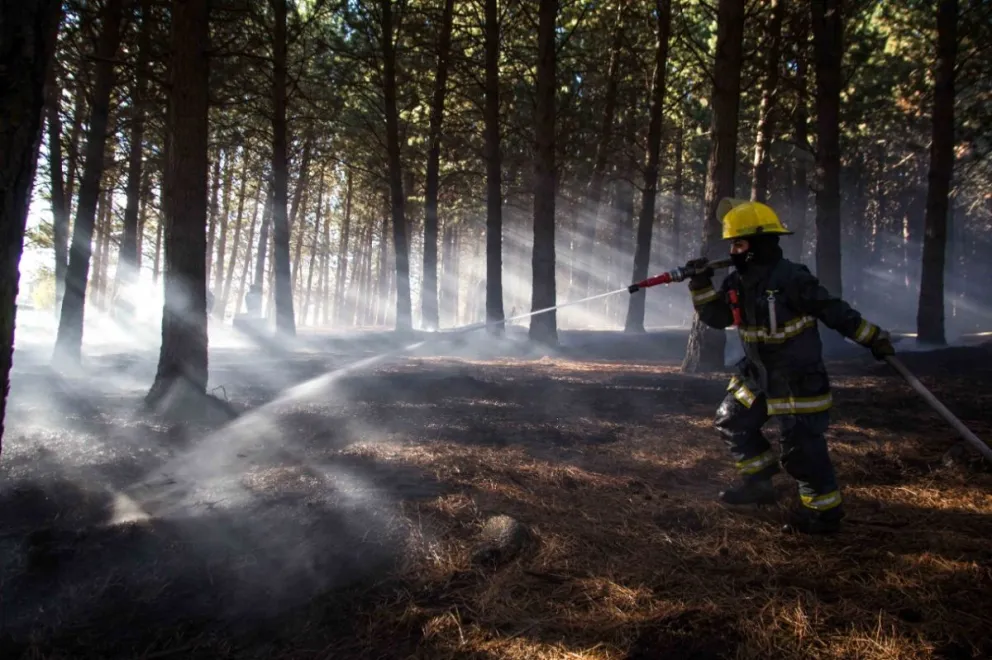 Incendio forestal en barrio Malvinas: presumen que fue una quema descontrolada