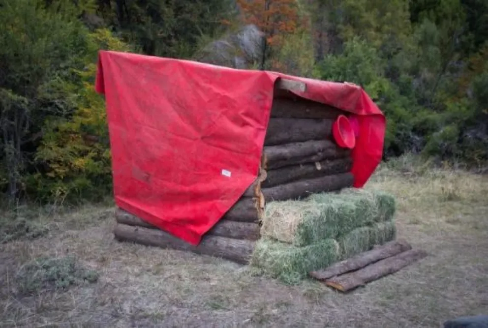 “El Ejército no tiene documentos que acrediten nada”