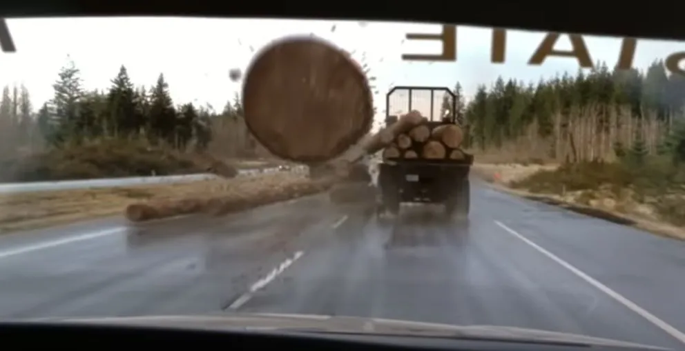 Escena de "Destino Final" se hizo realidad: un tronco le atravesó el parabrisas