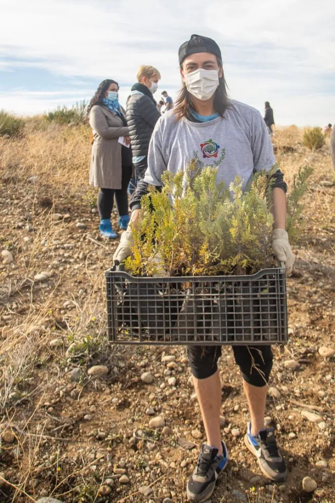 Jóvenes por Bariloche continúa con la campaña de plantación