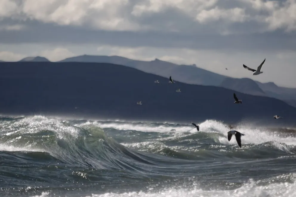 ¿Cómo estará el clima en Bariloche para el Día del Padre?