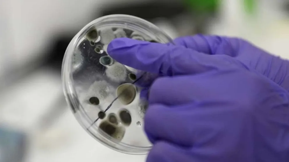 La Universidad de Córdoba demostró que la vacuna Sputnik V es eficaz contra la cepa de Manaos