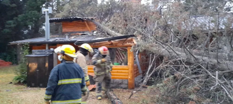 El viento derribó un árbol que aplastó el lavadero de una casa