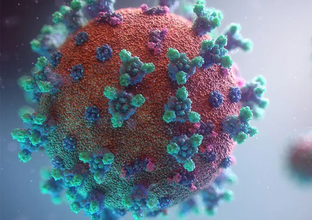 Las cepas de Manaos y el Reino Unido fueron detectadas en Bariloche