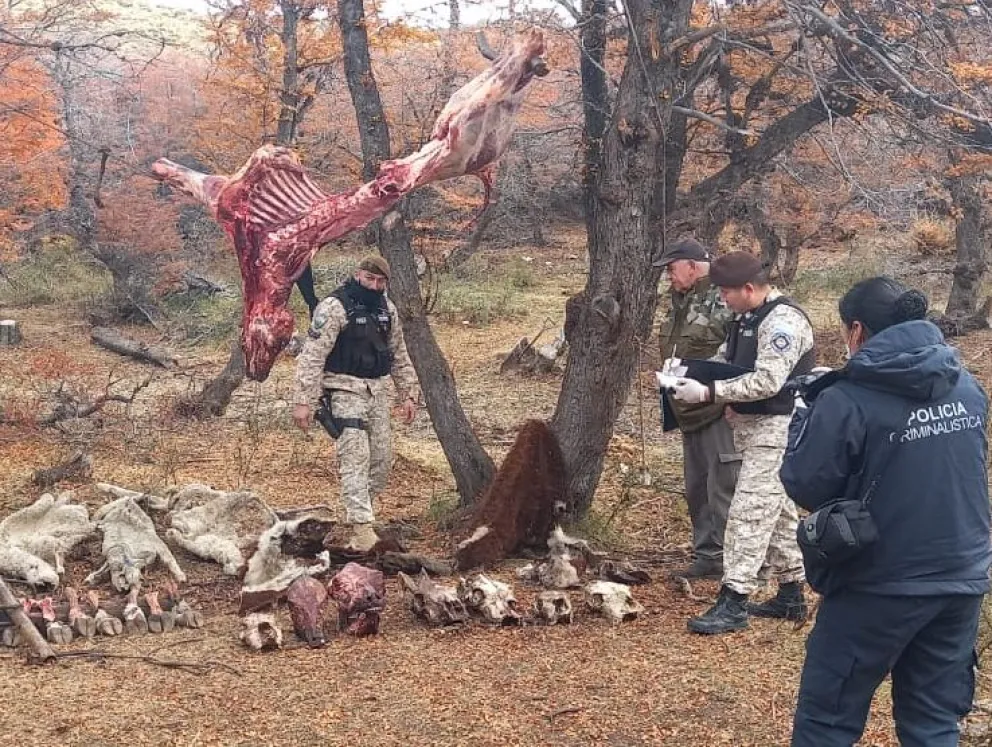En un allanamiento secuestraron armas y animales faenados clandestinamente