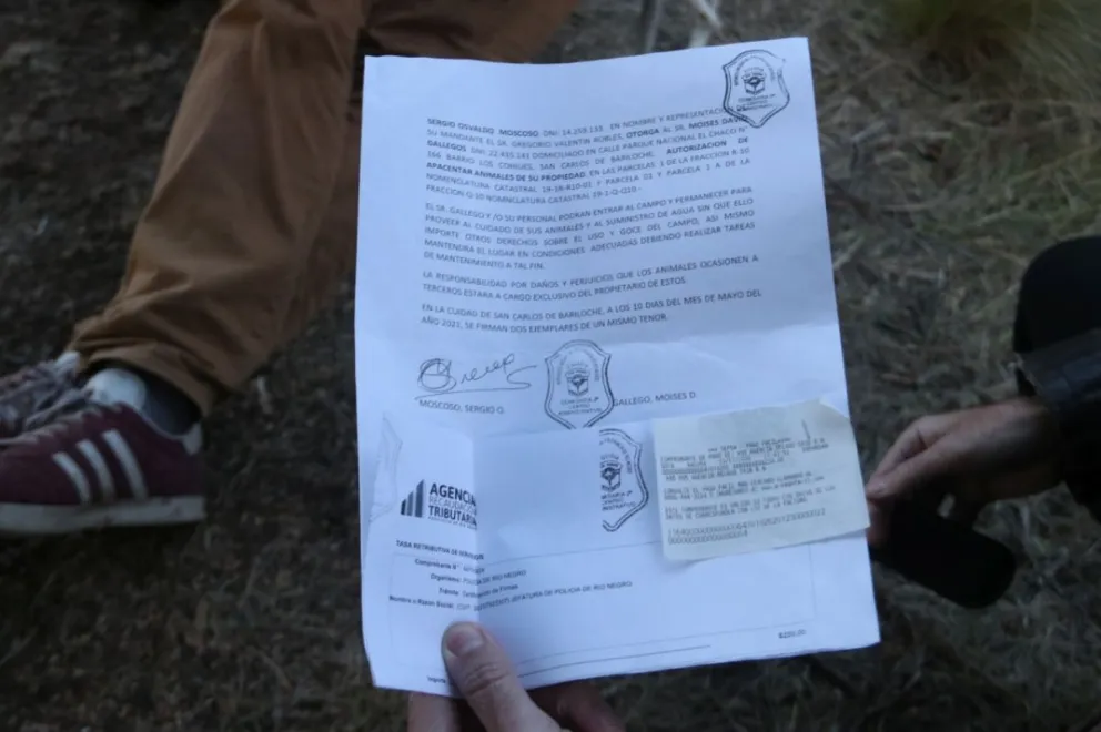 Los vecinos quieren respuestas sobre el documento con el que un hombre avala su permanencia en la costa del Moreno