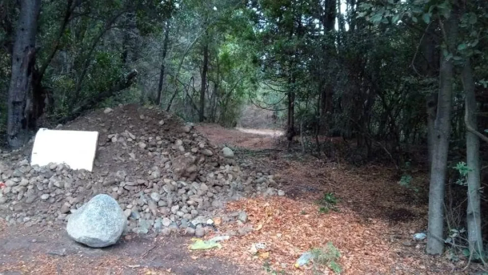 Denuncian tala y extracción de madera del terreno en conflicto