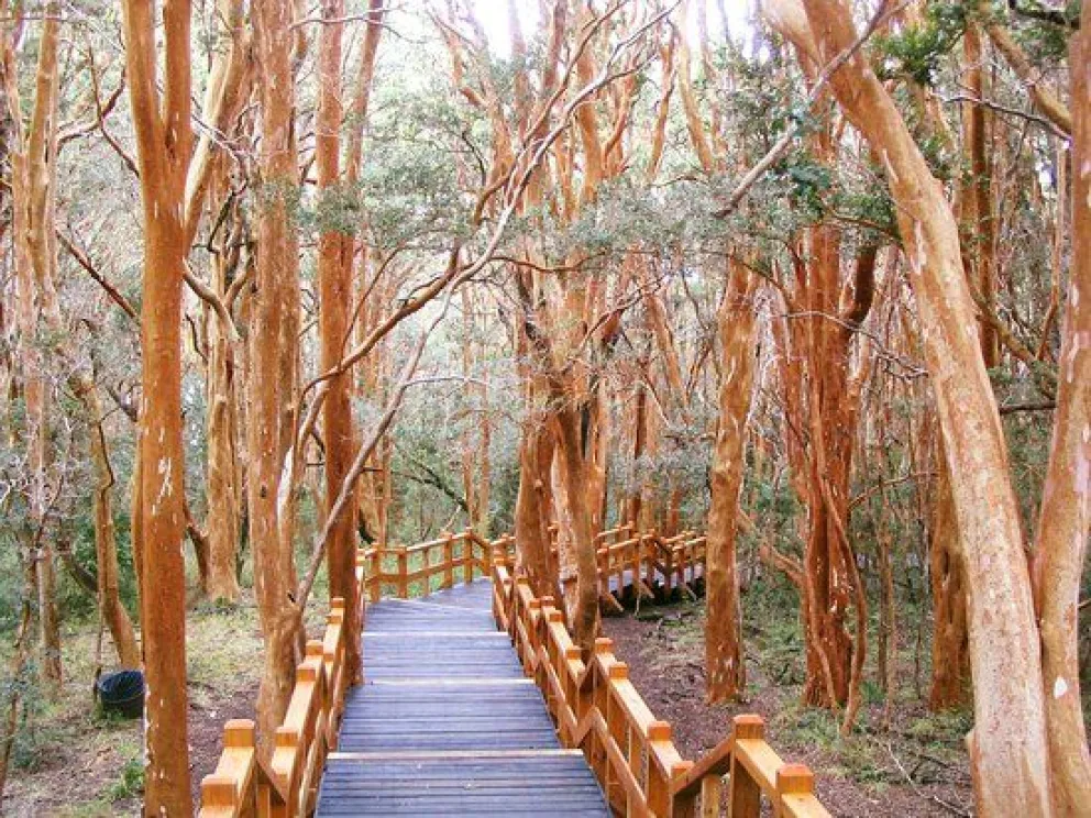 Cien años atrás, Bariloche se desvivía por agasajar funcionarios nacionales