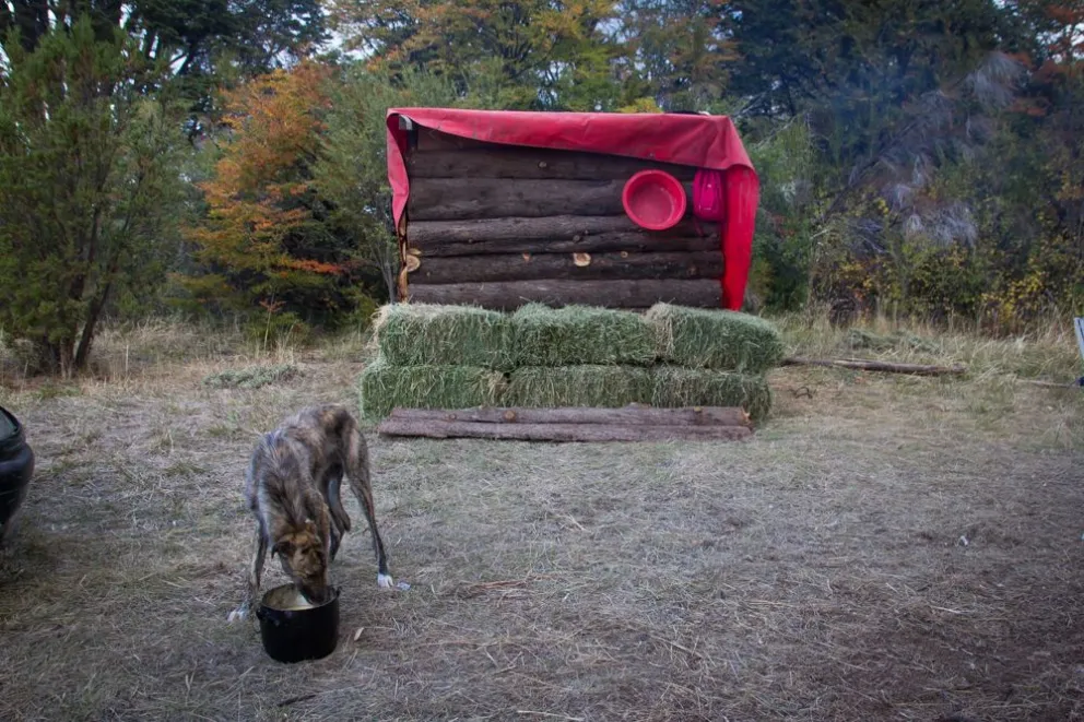 Otra vez se asentó un hombre en cercanías de la Playa del Viento y dice que el “propietario” le cedió el terreno