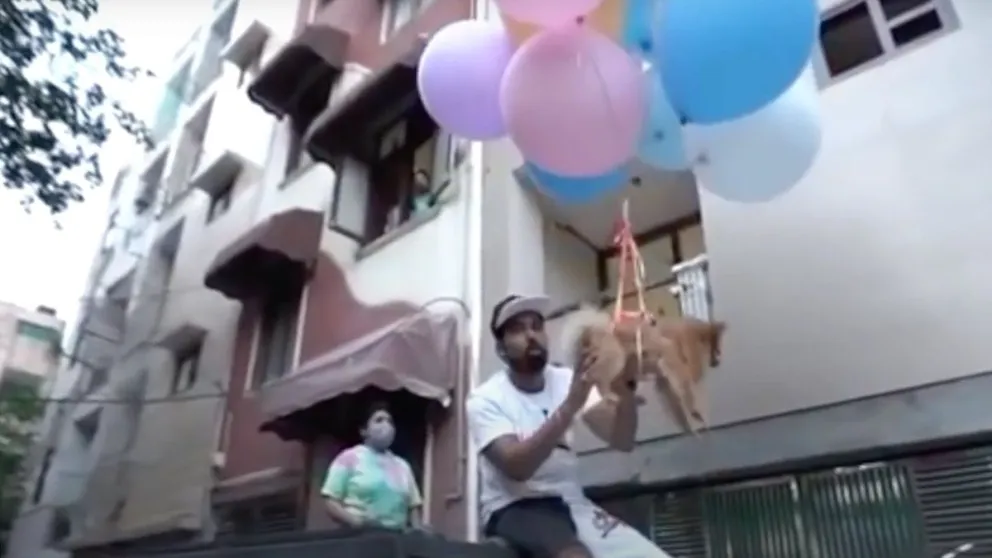 Video de perro “volando” en globos de helio causó conmoción en redes