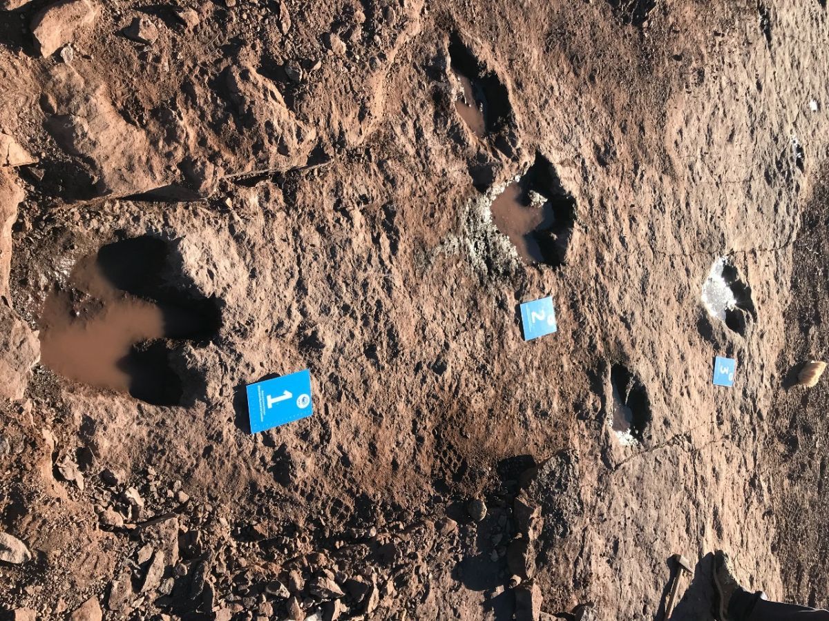 Descubrieron un nuevo yacimiento de huellas de dinosaurios en Neuquén