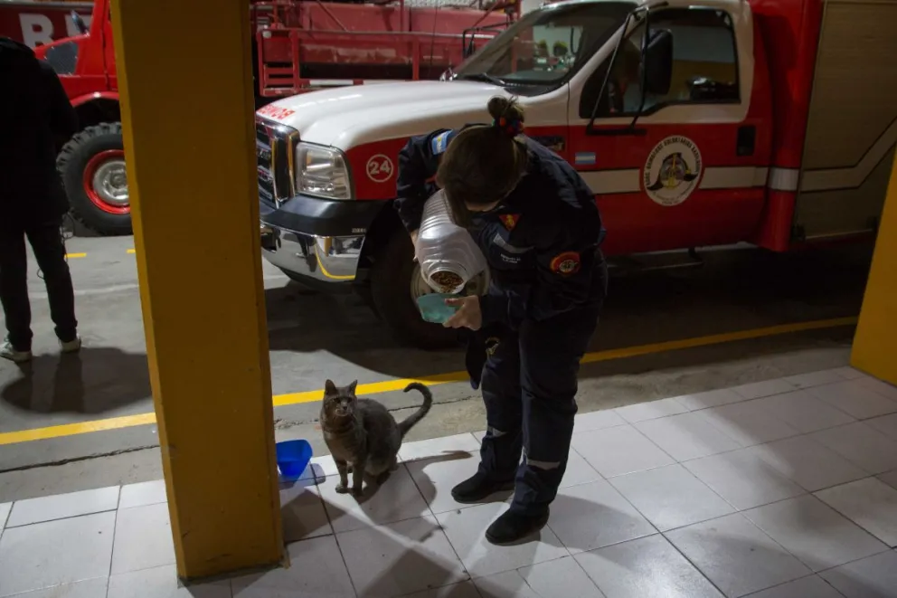 Cada día son más las mujeres que se suman a Bomberos Voluntarios