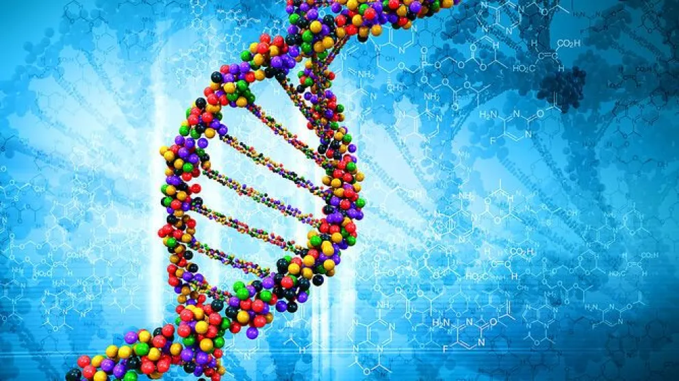 Científicos logran secuenciar por primera vez un genoma humano completo