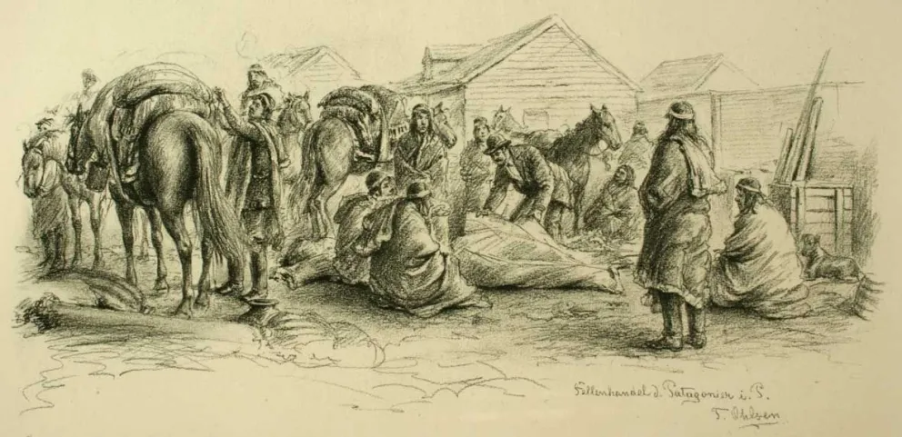 Charque de guanaco, antigua delicadeza tehuelche