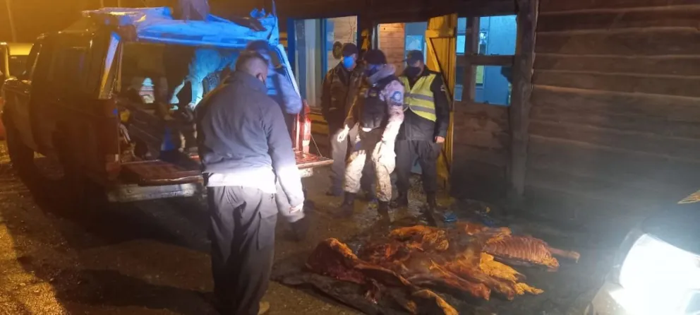 Llevaba un caballo faenado y fue descubierto por la Policía en El Bolsón