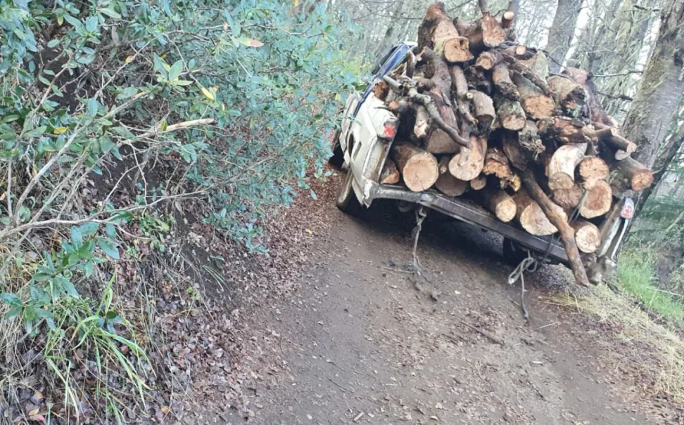  El Municipio presentó una denuncia penal por tala ilegal en la ladera del Cerro Otto