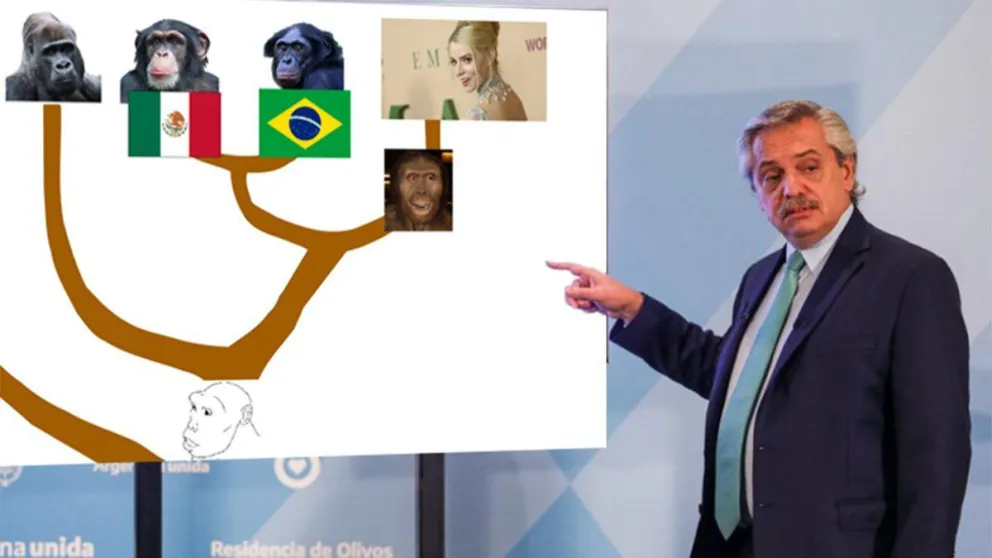 Alberto Fernández y su polémica frase inundaron las redes de memes  