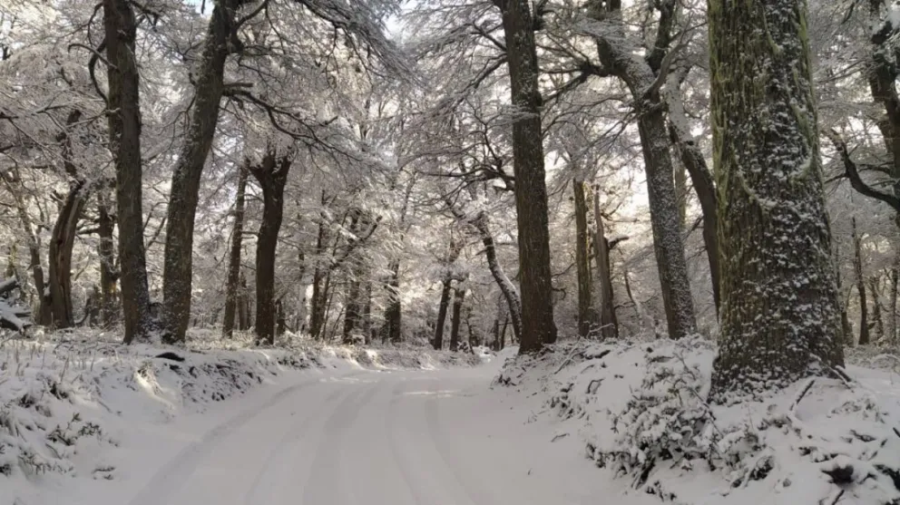 Camino a Challhuaco con acumulación de nieve