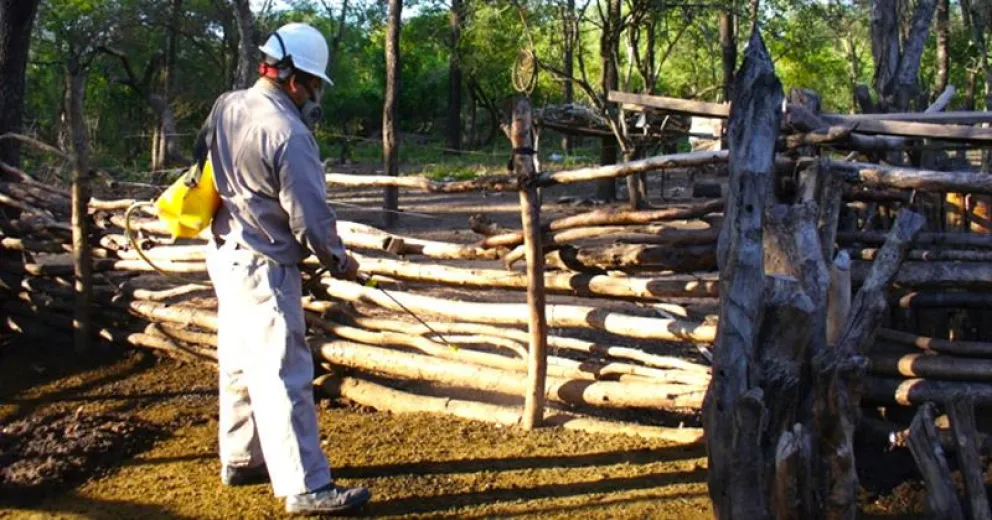 Logran eliminar la aparición de casos de Chagas en una localidad de Chaco
