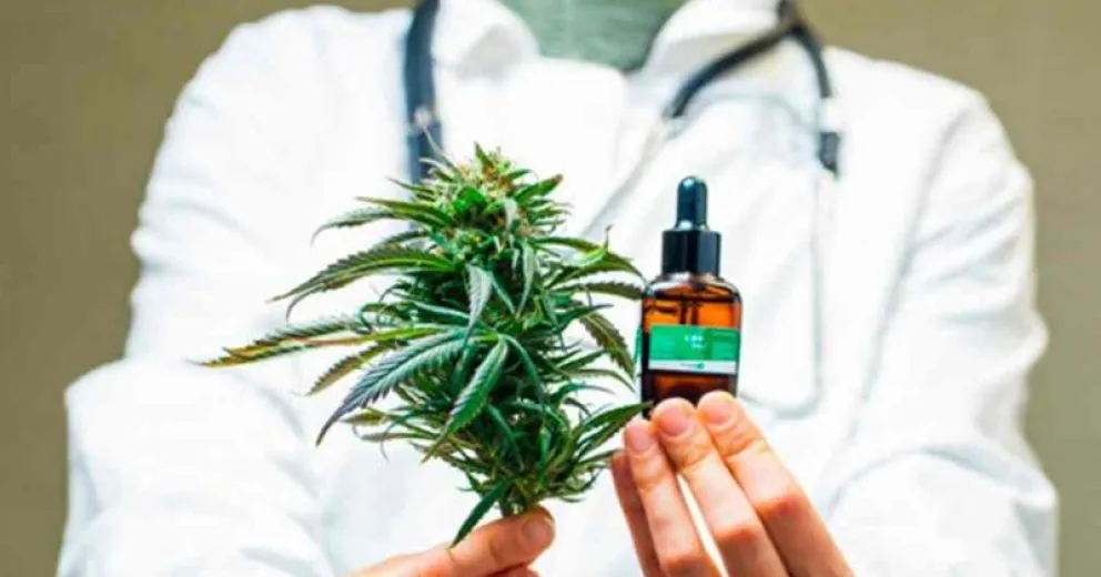 Productora de El Bolsón contó su experiencia sobre las bondades del uso medicinal del Cannabis