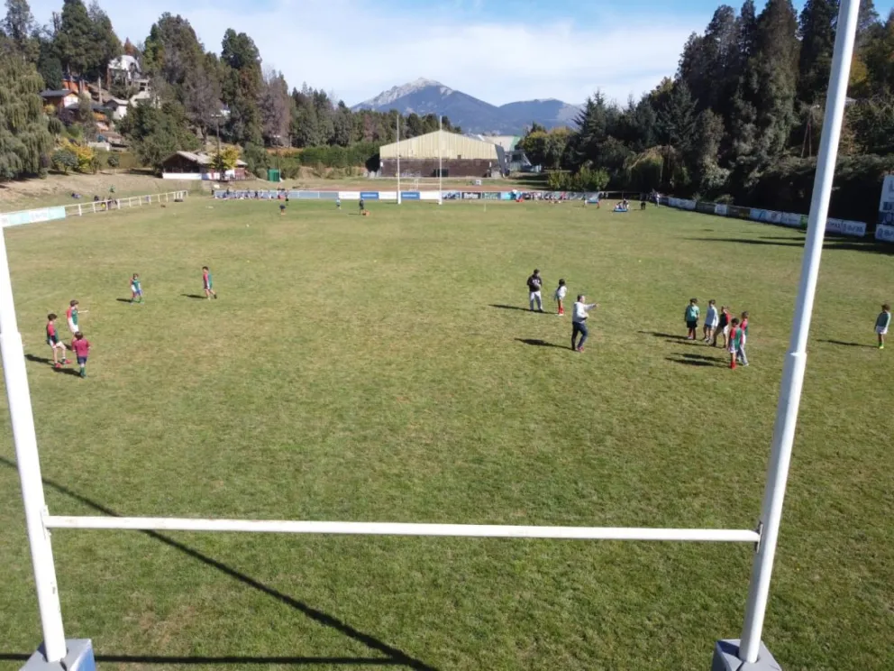 El Verde cumple 40 años