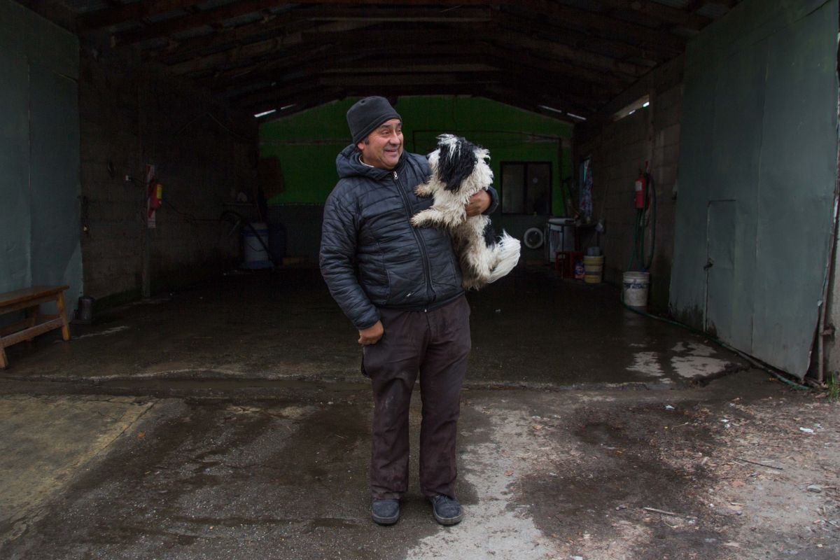 Esta semana el quirófano móvil atenderá perros y gatos en Lago Moreno