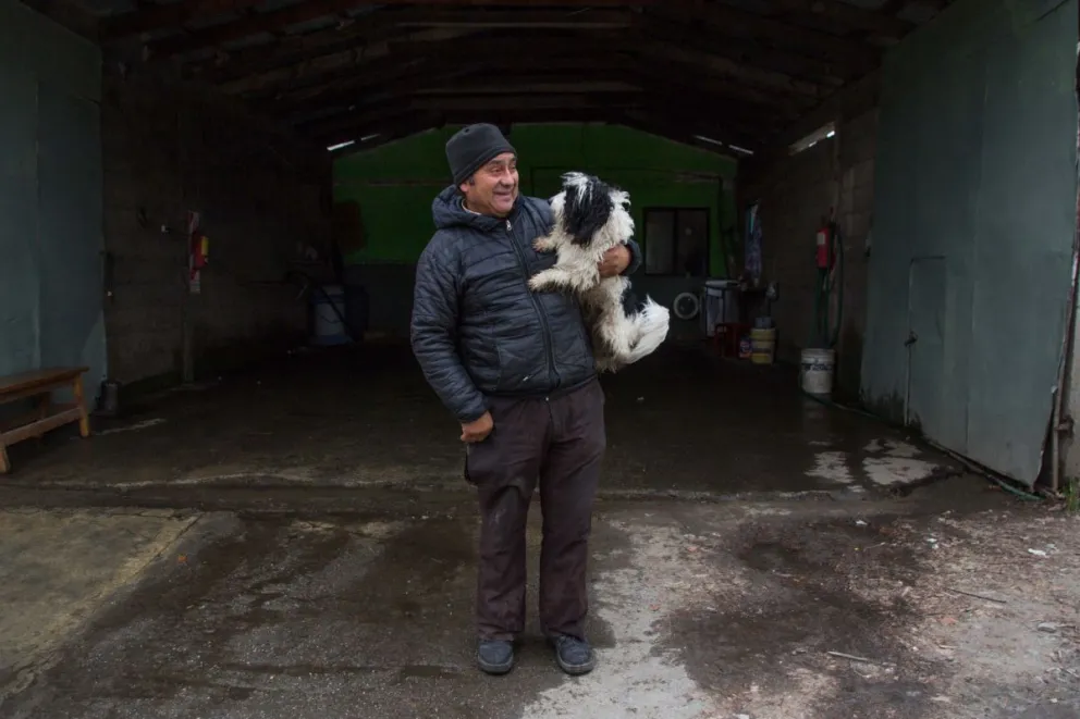 Esta semana el quirófano móvil atenderá perros y gatos en Lago Moreno
