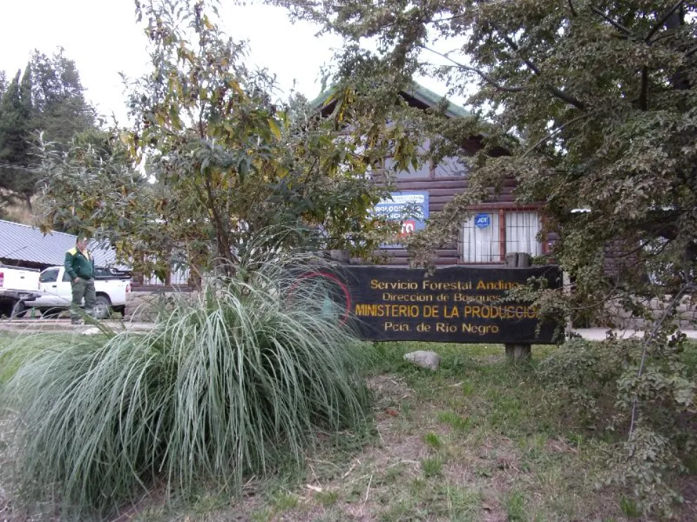 El Servicio Forestal Andino necesita controladores