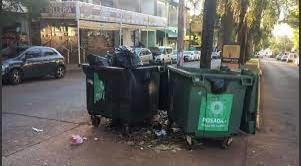 Horror: Cartonero encontró el cadáver de un bebé en la basura