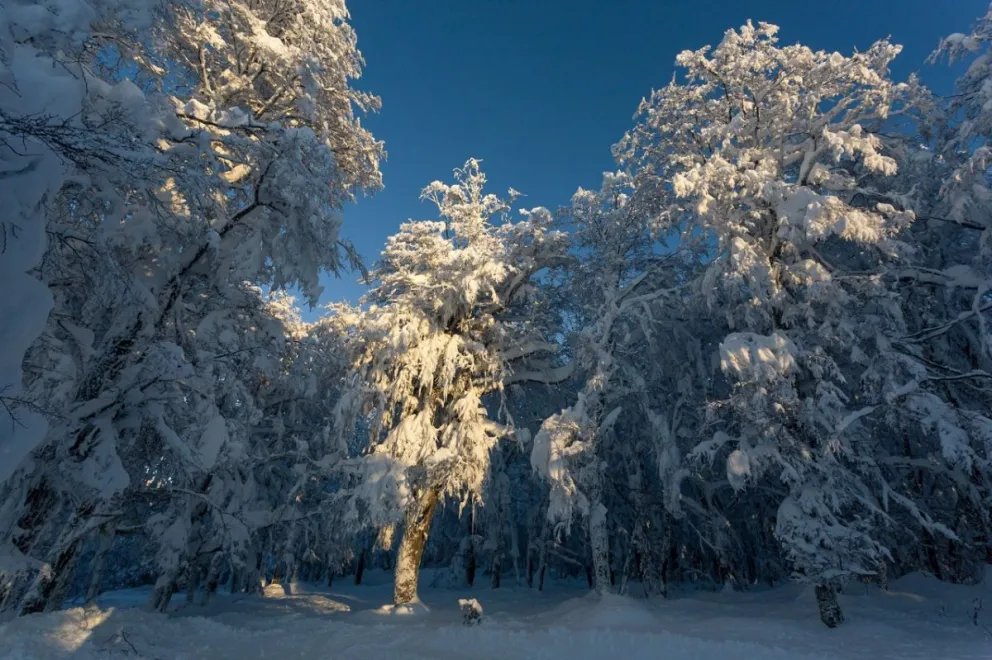 Advierten por nevadas en los Parques Nacionales Nahuel Huapi y Los Arrayanes