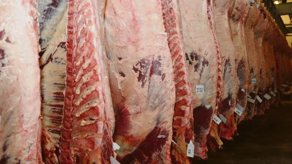 El Gobierno prohibió la exportación de asado, vacío, matambre y otros 4 cortes 