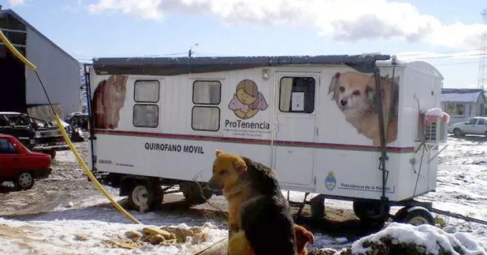 “Esto no es lo que uno espera del intendente Gennuso y de los responsables del área de Zoonosis”