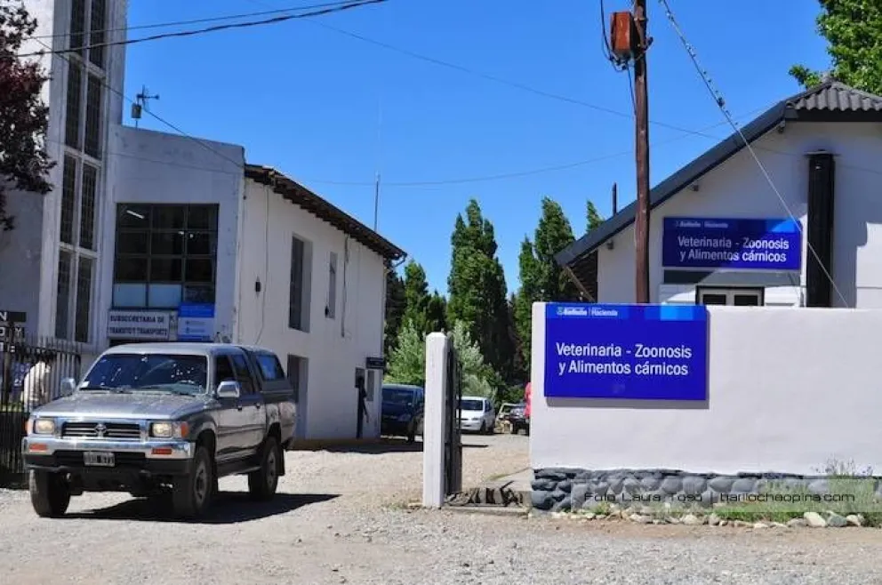 Pese al pedido de un grupo proteccionista, desvincularon al director de Sanidad Animal en Bariloche