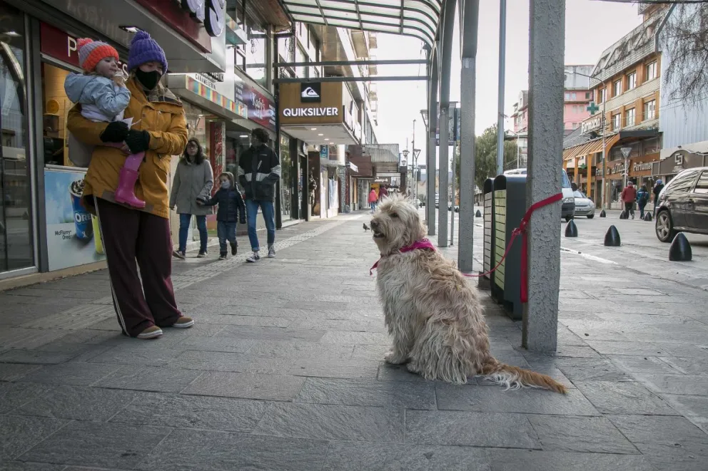 Ibero: "Venimos bajando nuestra curva de contagios claramente y esto obedece a las restricciones” 