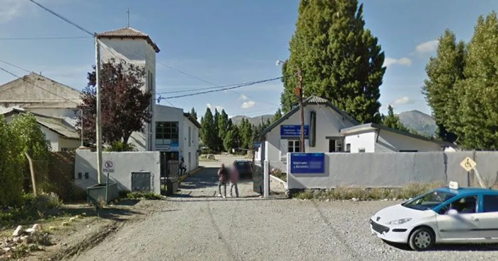 Javier Fibiger: "El veterinario Cuatrín no está matriculado pero está en un cargo político que no lo requiere"