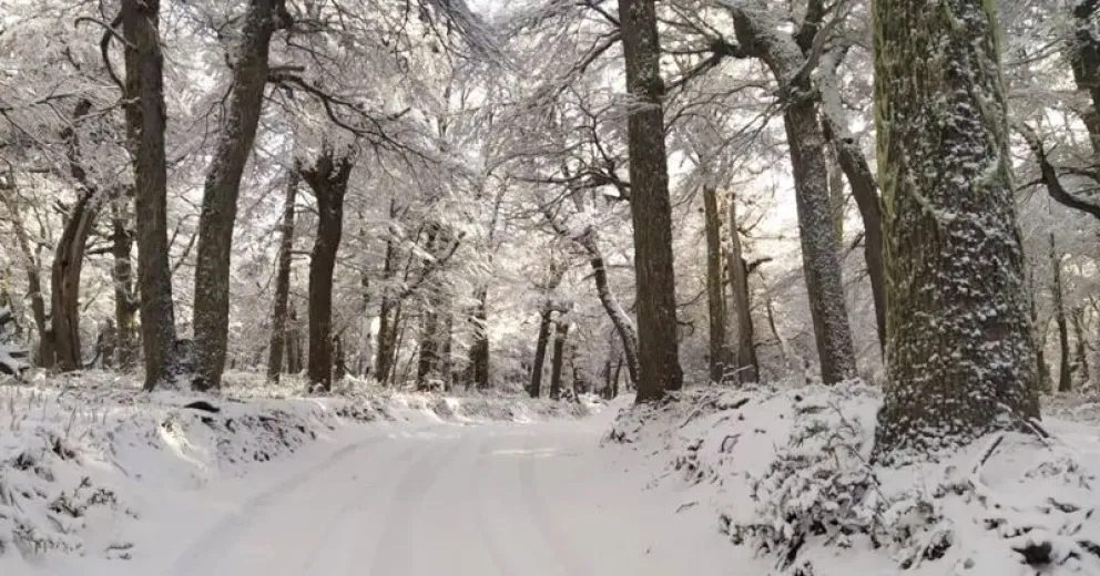 Atención: informaron el estado de los caminos en el Parque Nacional Nahuel Huapi