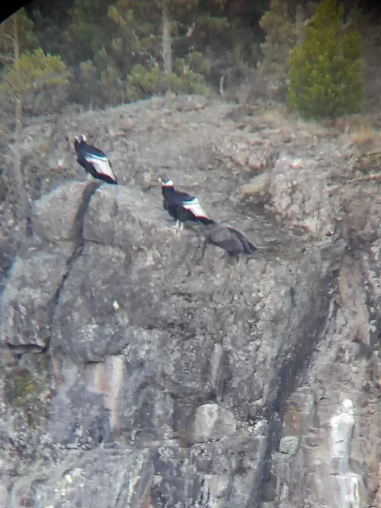 Inés fue liberada y ya se encuentra con sus padres