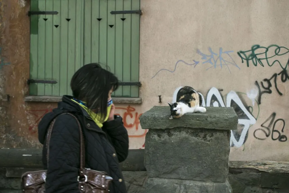 En Río Negro este domingo fallecieron seis personas y se registraron 134 nuevos contagios